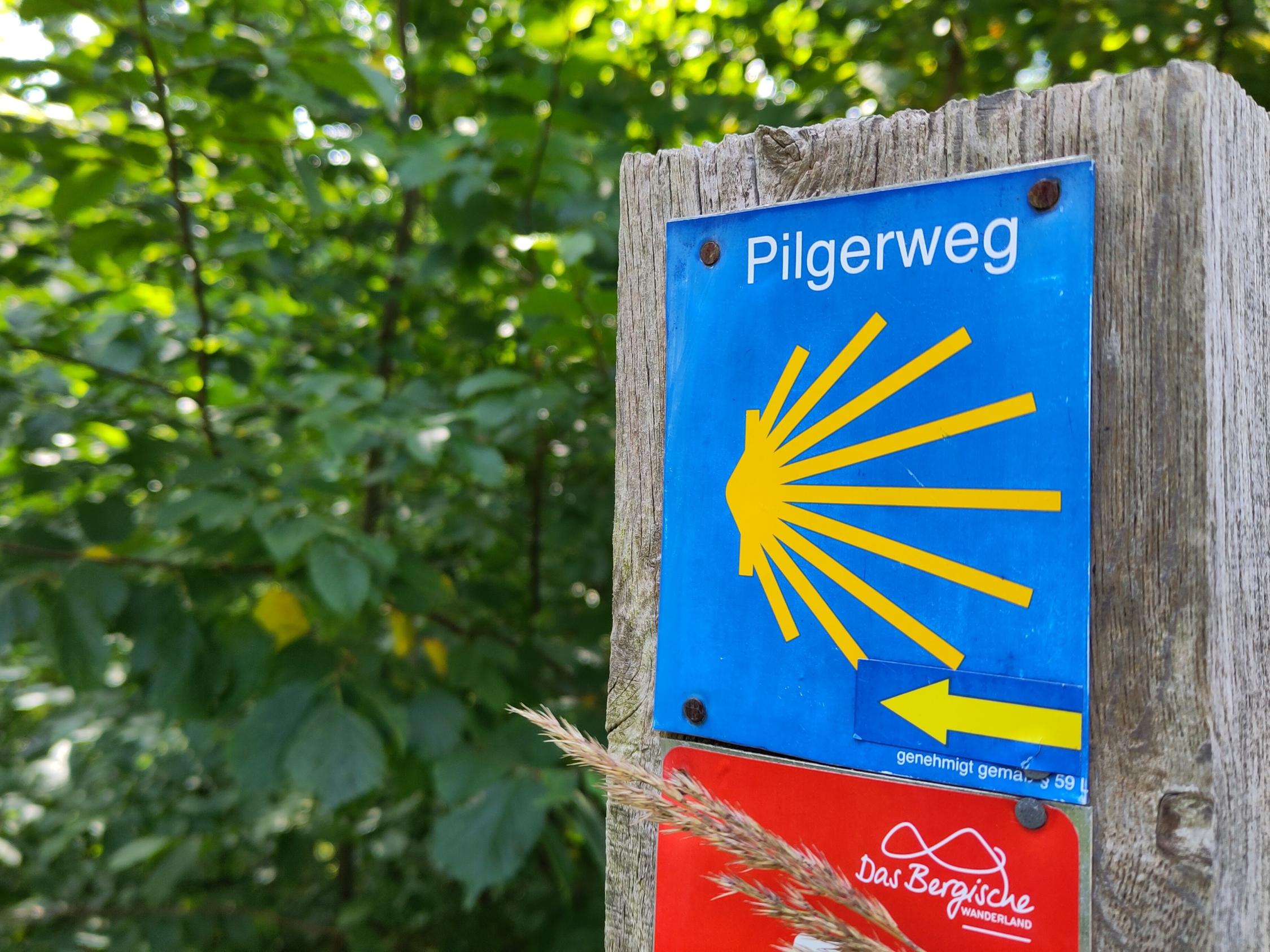 Ein Schild mit der Aufschrift 'Pilgerweg' und Jakobsmuschel-Symbol auf einem Holzpfosten, im Hintergrund Blattwerk